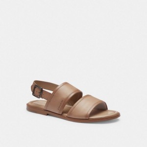 Coach Julian Two Strap Sandal Grau Braun | COH866846