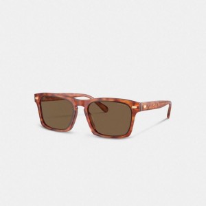 Coach Keyhole Square Sunglasses Braun | COH867072
