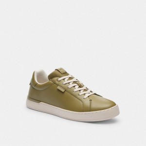 Coach Lowline Low Top Sneaker Senfgelb | COH866813