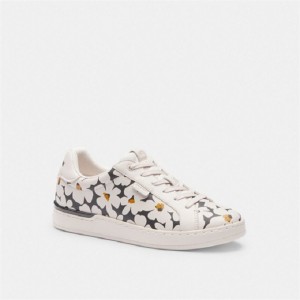 Coach Lowline Low Top Sneaker With Floral Print Mehrfarbig | COH865834