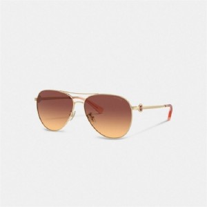 Coach Metal Aviator Sunglasses Dunkelbraun | COH866377