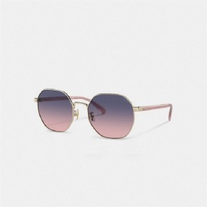 Coach Metal Hexagon Sunglasses Lila Rosa | COH866356