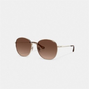 Coach Metal Round Sunglasses Braun | COH866365