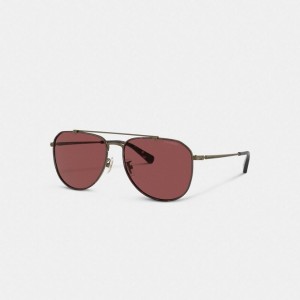 Coach Metal Windsor Pilot Sunglasses Bordeaux | COH867065