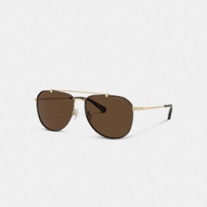Coach Metal Windsor Pilot Sunglasses Dunkelbraun | COH867057