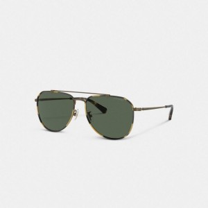 Coach Metal Windsor Pilot Sunglasses Gold | COH867078