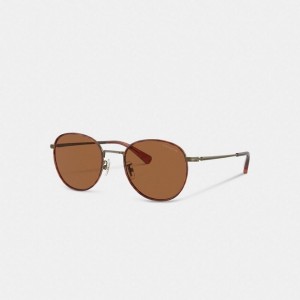 Coach Metal Windsor Round Sunglasses Braun | COH867073