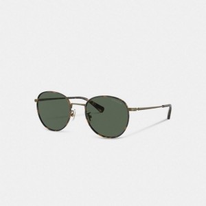 Coach Metal Windsor Round Sunglasses Gold | COH867061