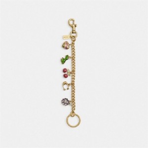 Coach Motif Chain Bag Charm Mehrfarbig | COH866473