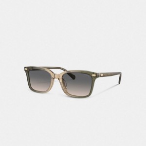 Coach Narrow Square Sunglasses Grün Braun | COH867083