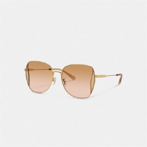Coach Oversized Butterfly Sunglasses Koralle Rosa Mehrfarbig | COH866371