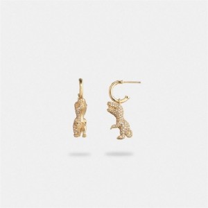 Coach Pavé Rexy Huggie Earrings Gold | COH866217