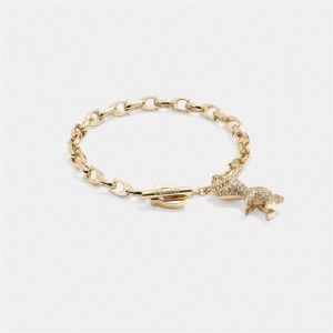 Coach Pavé Rexy Signature Chain Bracelet Gold | COH866148