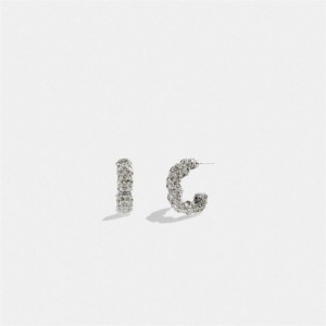 Coach Pavé Tea Rose Hoop Earrings Silber | COH866118