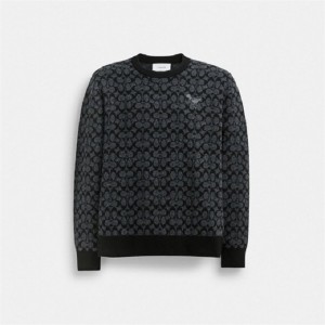 Coach Rexy Sweater Schwarz | COH865978