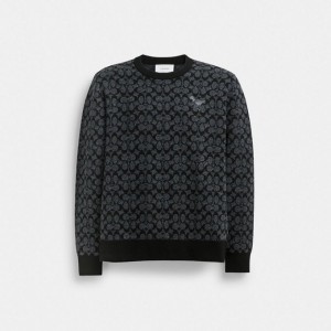 Coach Rexy Sweater Schwarz | COH866889
