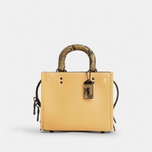 Coach Rogue 17 With Snakeskin Detail Blau Grau | COH865167