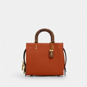 Coach Rogue 20 In Regenerative Leather With Snakeskin Detail Braun | COH865173
