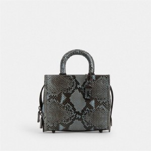 Coach Rogue 20 In Snakeskin Blau Grau Blau | COH865174