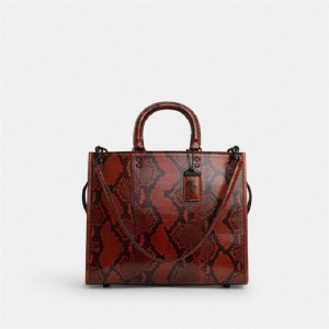 Coach Rogue Bag In Snakeskin Blau Grau Orange | COH865135