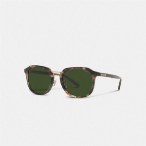 Coach Rounded Geometric Sunglasses Grün | COH866342