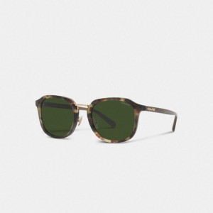 Coach Rounded Geometric Sunglasses Grün | COH867069