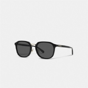 Coach Rounded Geometric Sunglasses Schwarz | COH866374