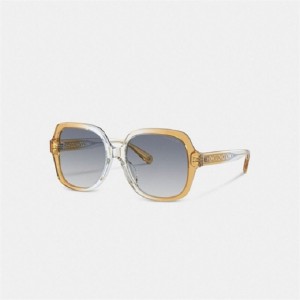 Coach Signature Ombré Oversized Square Sunglasses Blau | COH866332