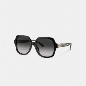 Coach Signature Ombré Oversized Square Sunglasses Schwarz | COH866355