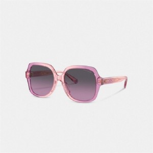 Coach Signature Ombré Oversized Square Sunglasses Rosa Lila | COH866387