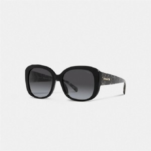 Coach Signature Oversized Square Sunglasses Schwarz Schwarz | COH866350