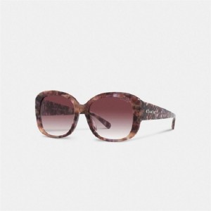 Coach Signature Oversized Square Sunglasses Lila | COH866382