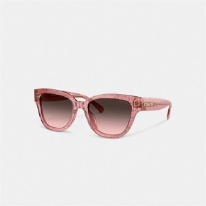 Coach Signature Round Sunglasses Rosa | COH866334