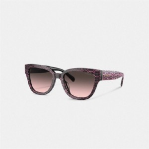 Coach Signature Round Sunglasses Rosa | COH866359
