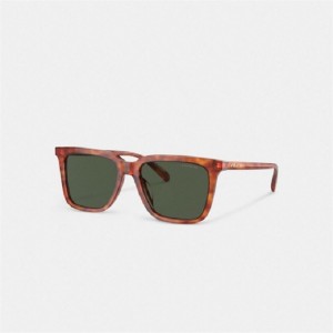 Coach Signature Square Sunglasses Grün | COH866338
