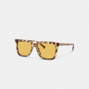 Coach Signature Square Sunglasses Orange | COH866398