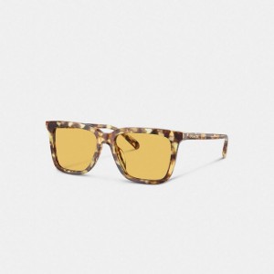 Coach Signature Square Sunglasses Orange | COH867076
