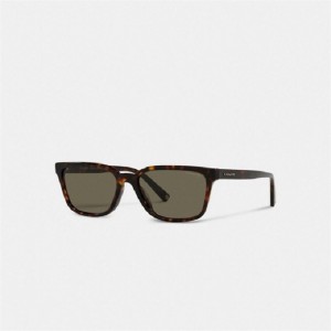 Coach Signature Workmark Square Sunglasses Braun | COH866368