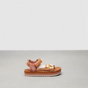 Coach Strappy Sandal Mehrfarbig | COH865858