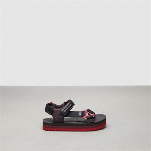 Coach Strappy Sandal Schwarz Bordeaux Mehrfarbig | COH865895