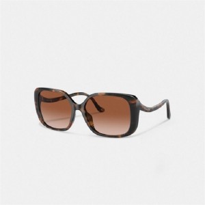 Coach Swoop Temple Rectangle Sunglasses Braun | COH866325