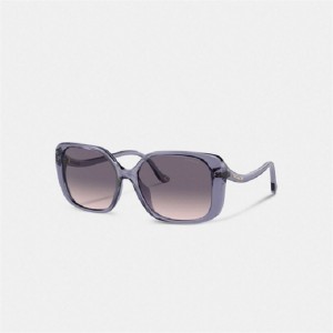 Coach Swoop Temple Rectangle Sunglasses Lila | COH866343