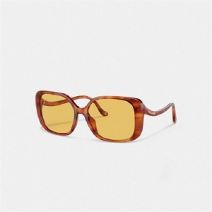 Coach Swoop Temple Rectangle Sunglasses Braun | COH866375