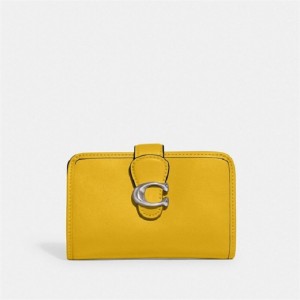 Coach Tabby Medium Wallet Silber | COH865528