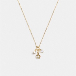 Coach Tea Rose Cluster Pendant Necklace Gold | COH866210
