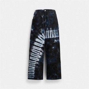 Coach Tie Dye Painter Pants In Organic Cotton Blau Mehrfarbig | COH866042
