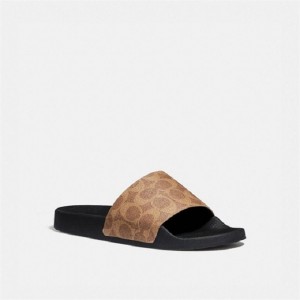 Coach Udele Sport Slide In Signature Canvas Braun | COH865855
